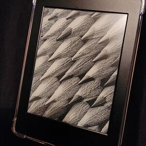 Kindle Paperwhite
